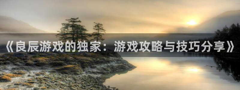杜邦娱乐：《良辰游戏的独家：游戏攻略与技巧分享》