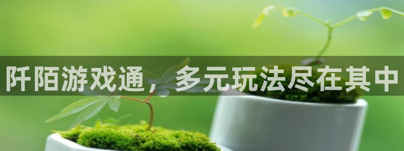 杜邦娱乐平台官网入口：阡陌游戏通，多元玩法尽在其中
