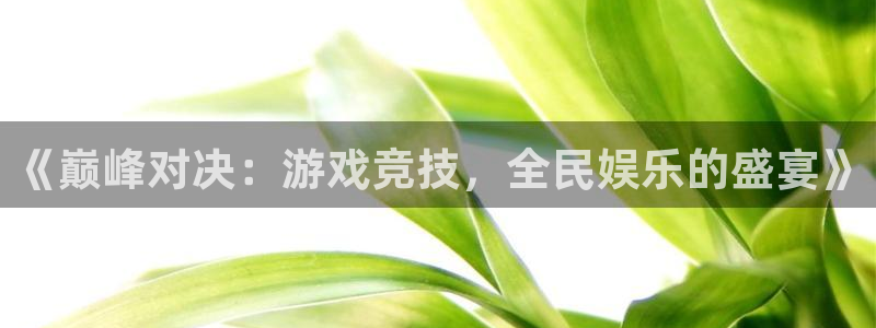 杜邦娱乐app：《巅峰对决：游戏竞技，全民娱乐的盛宴》