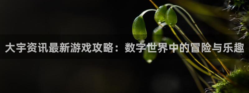 杜邦娱乐注册：大宇资讯最新游戏攻略：数字世界中的冒险与乐趣