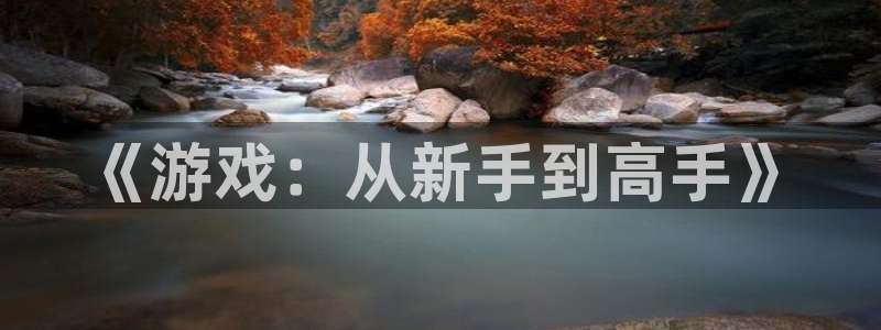 杜邦娱乐下载：《游戏：从新手到高手》