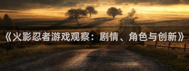 杜邦娱乐4招商：《火影忍者游戏观察：剧情、角色与创新》