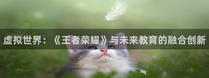 手机版杜邦娱乐客户端下载：虚拟世界：《王者荣耀》与未来教育的