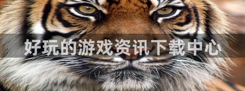 杜邦娱乐平台官网客服电话：好玩的游戏资讯下载中心