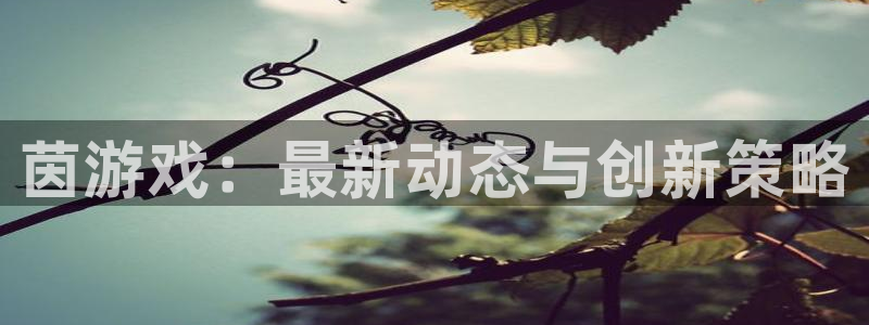 手机版杜邦娱乐客户端下载：茵游戏：最新动态与创新策略